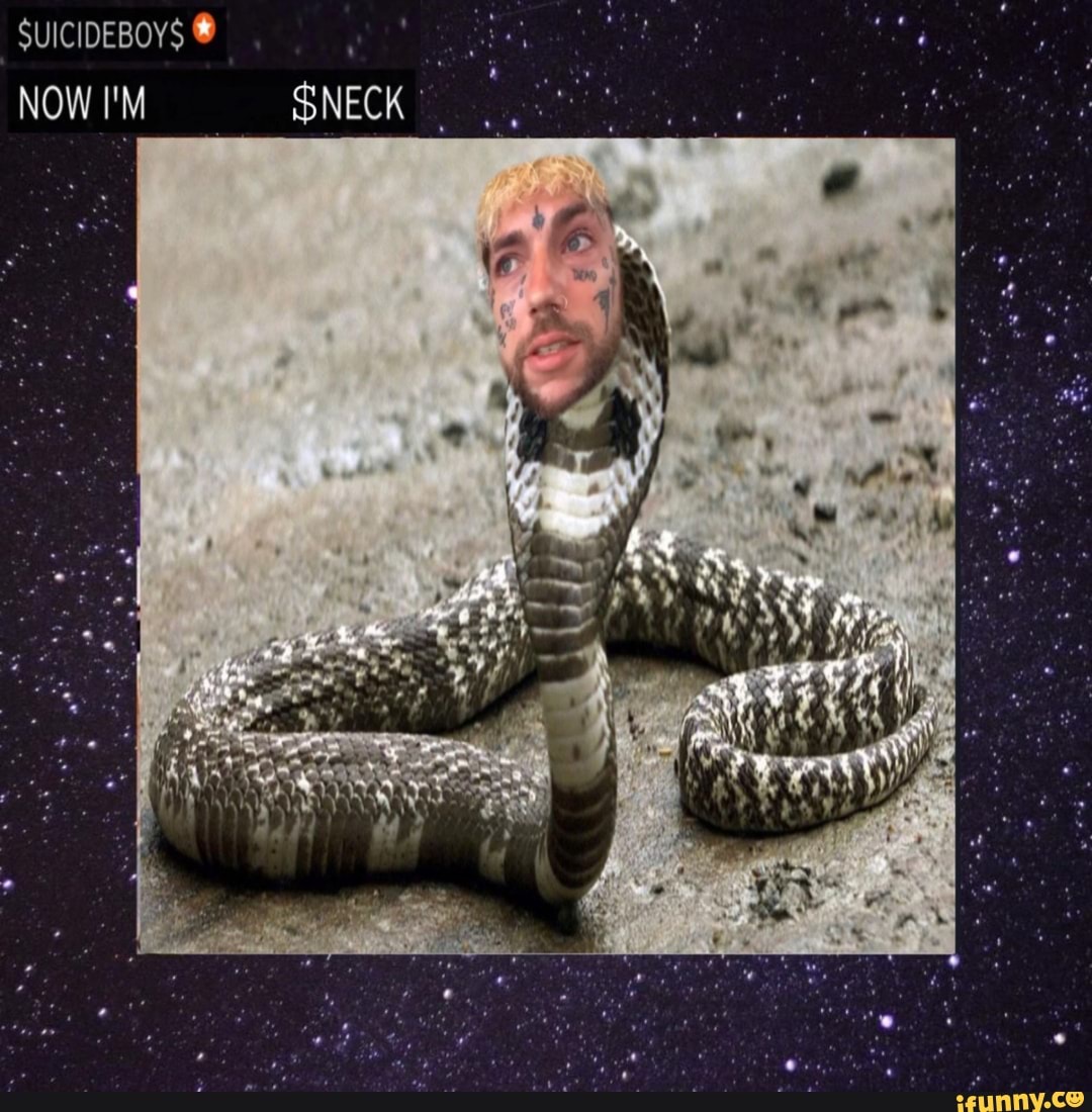 SUICIDEBOYS NOW I'M
NECK