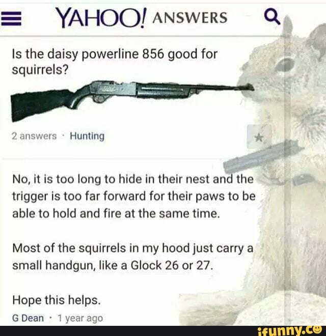 = YAHOO! Answers Q
Is the daisy powerline 856 good for squirrels?
2 answers Hunting *
No, it is too long to hide in their nest and the
trigger is too far forward for their paws to be able to hold and fire at the same time.
Most of the squirrels in my hood just carry a small handgun, like a Glock 26 or 27.
Hope this helps.