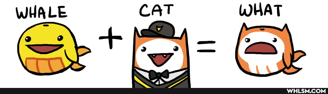 WHALE CAT WHAT
Sst