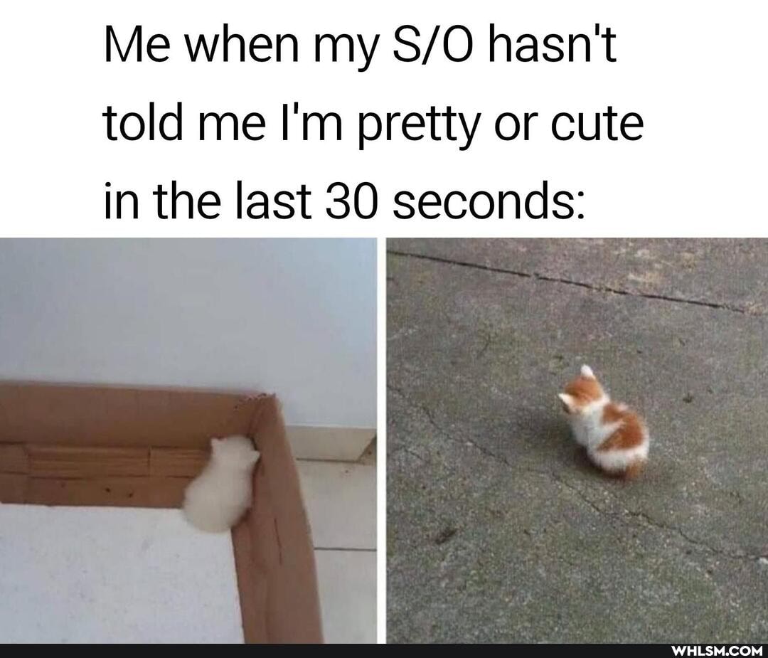 Me when my hasn't
told me I'm pretty or cute in the last 30 seconds: