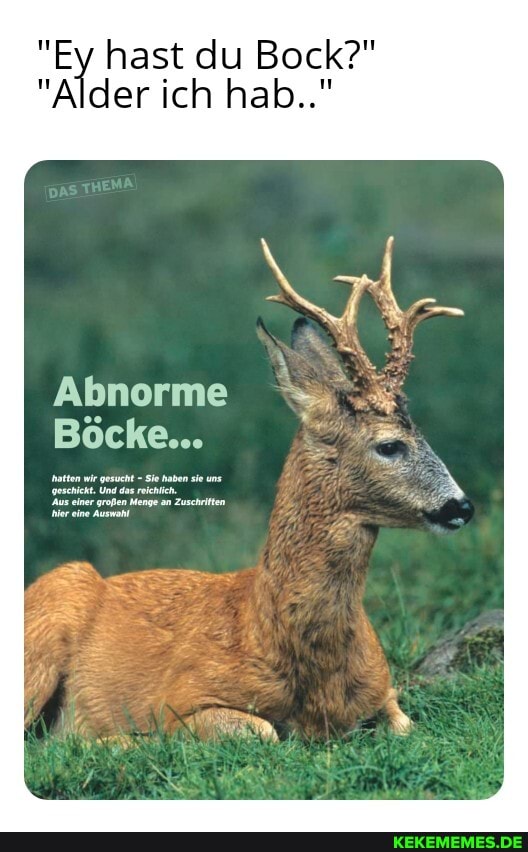 "Ey hast du Bock?"
"Alder ich hab.."
Abnorme
Böcke...