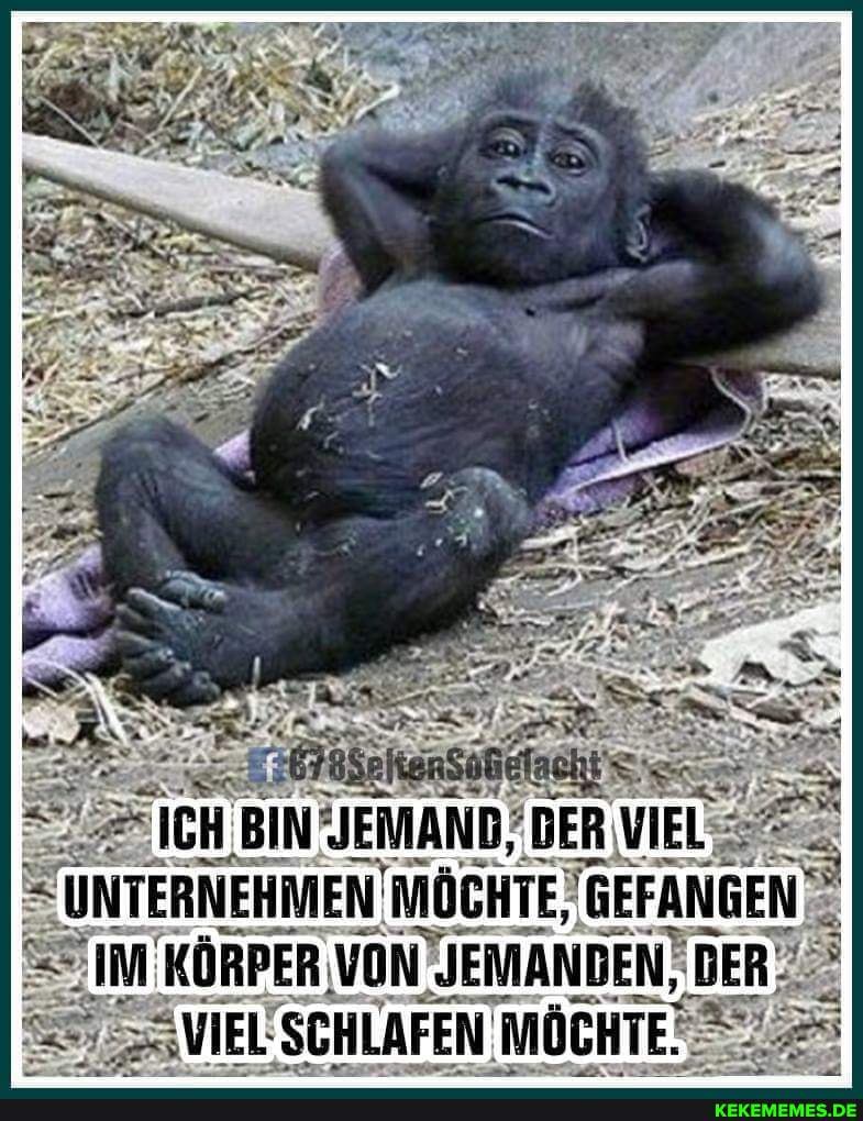 B BIN JEMAND: -DER VIEL UNTERNEHMEN 'MÖCHTE, GEFANGEN
=VIEL SCHLAFEN I MÖCHTE: