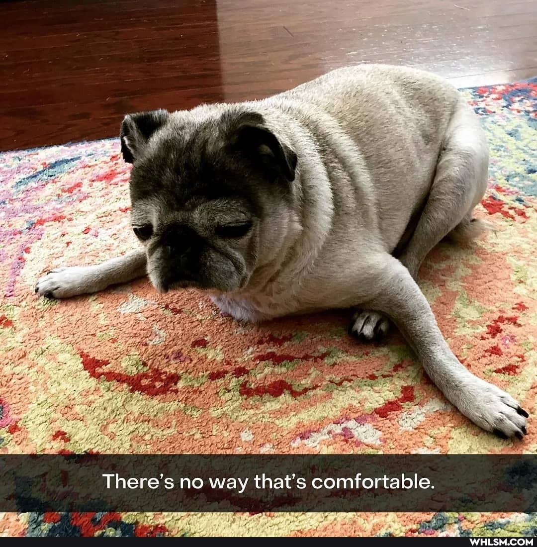 There's no way that's comfortable.