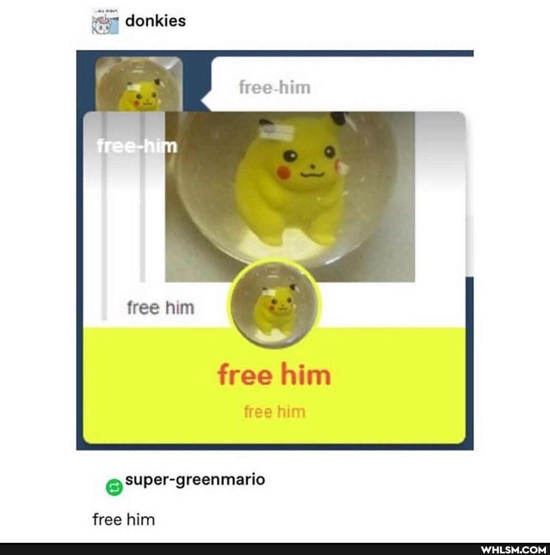 donkies
free tim
free him
free him
free him
@super-greenmario
free him