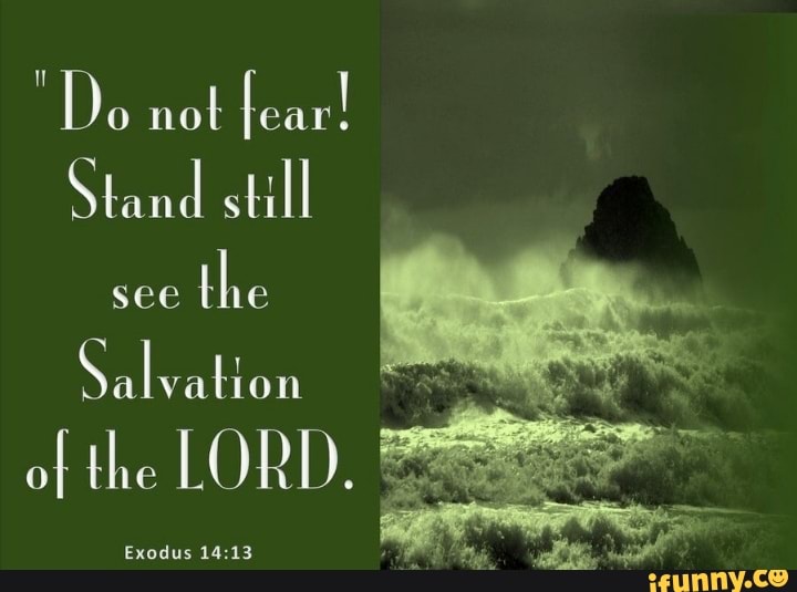 "Do not fear! Stand still see the Salvation of the LORD. Exodus iFunny