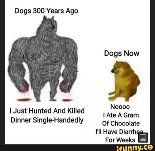 Dogs 300 Years Ago Dogs Now Noooo I Just Hunted And Killed Ate A Gram