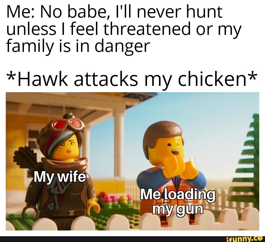 Me: No babe, I'll never hunt unless I feel threatened or my family is in danger
*Hawk attacks my chicken*
Me loading my gun