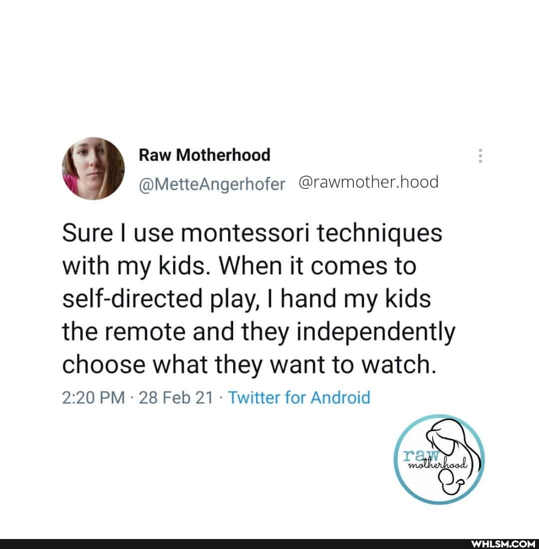Sure I use montessori techniques with my kids. When it comes to self-directed play, I hand my kids the remote and they independently choose what they want to watch.
PM 28 Feb 21 Twitter for Android