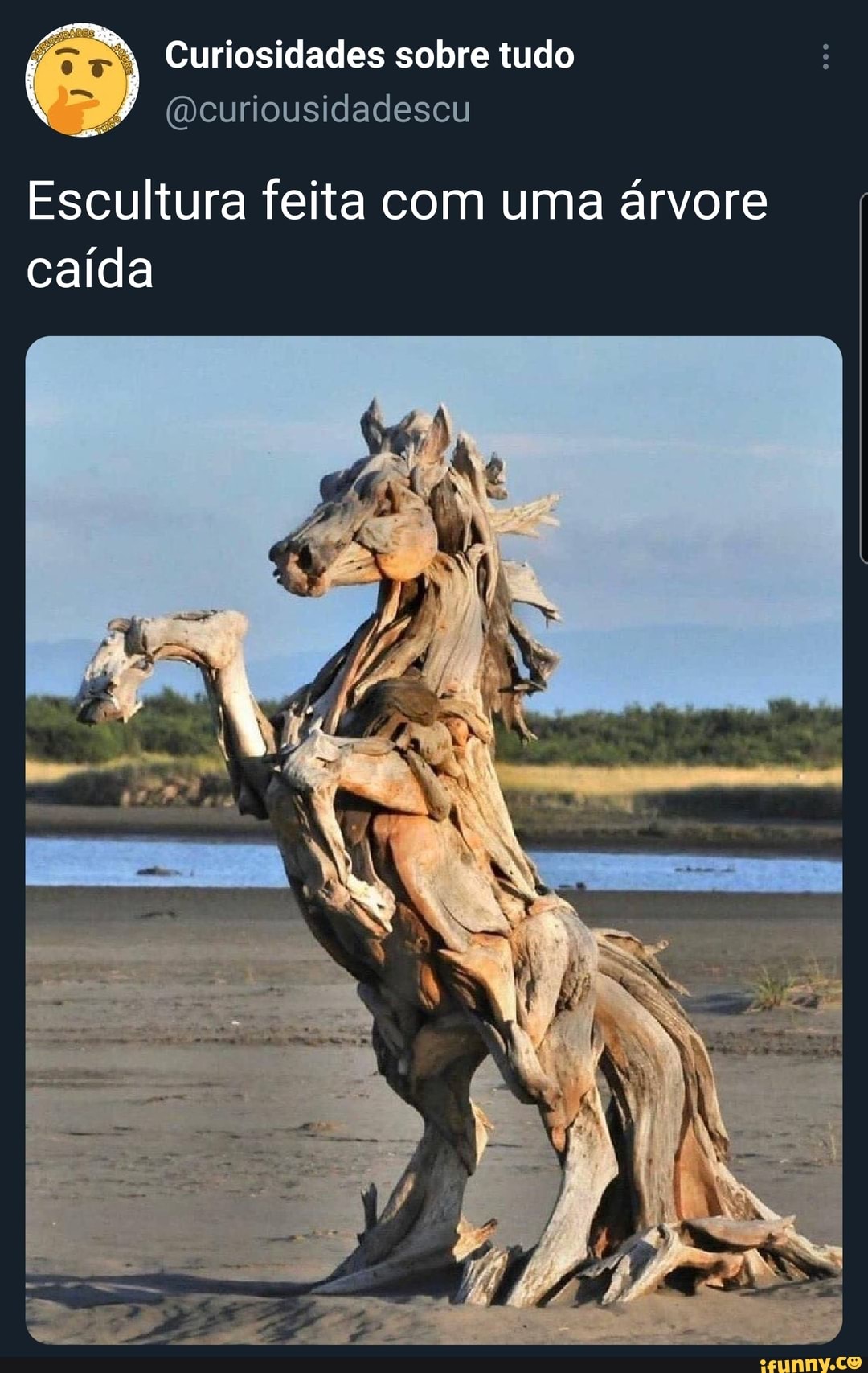 Curiosidades sobre tudo
(meuriousidadescu
Escultura feita com uma árvore caída