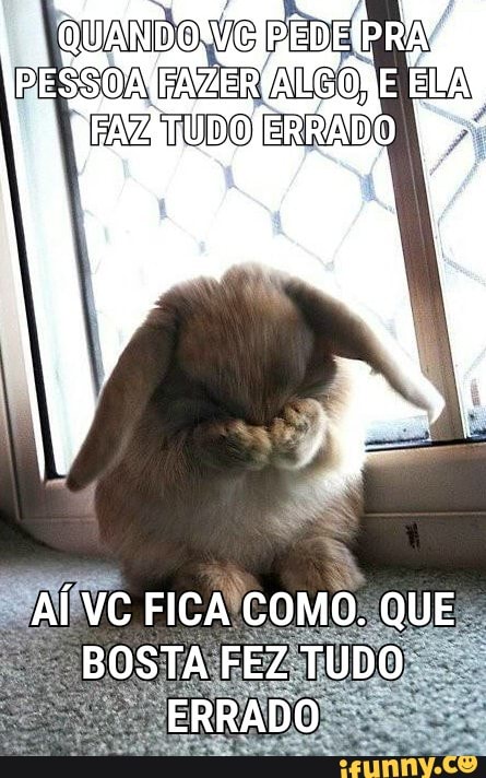 aia
FAZ TUDO