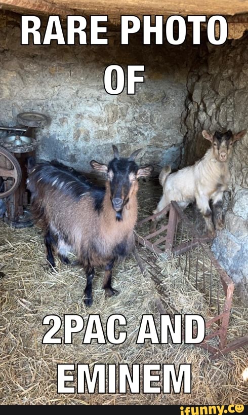 RARE PHOTO OF
-2PAC AND EMINEM: