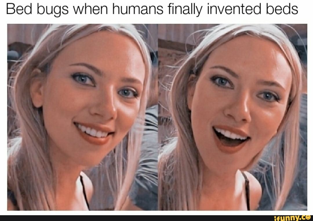Bed bugs when humans finally invented beds iFunny