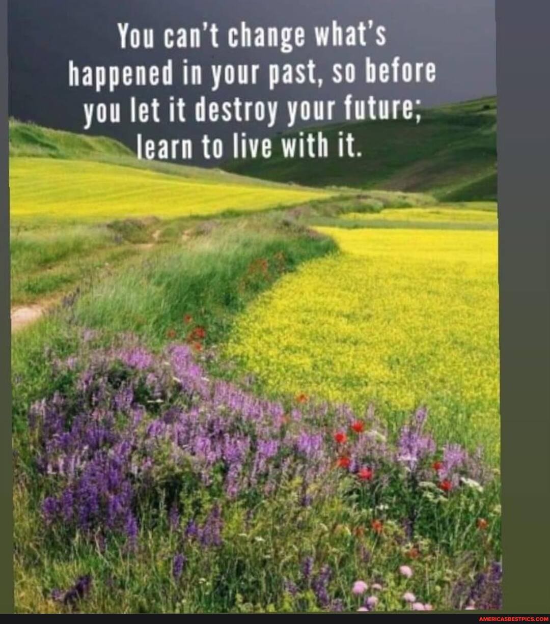 You can't change what's happened in your past, so before you let it destroy your future; learn to live with it.
* -