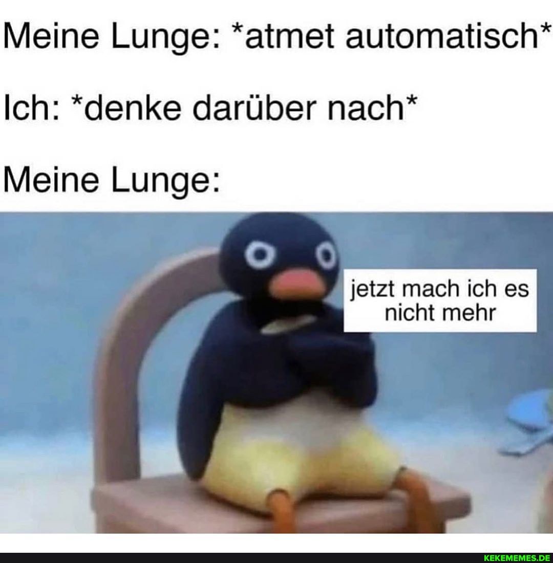 Meine Lunge: *atmet automatisch*
Ich: *denke darüber nach*
Meine Lunge:
jetzt mach ich es nicht mehr