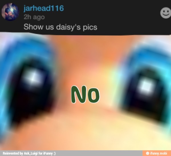 Show us daisy's pics