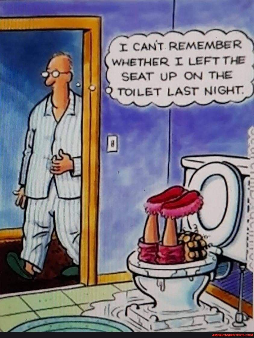 CANT REMEMBER Va WHETHER LEFT THE SEAT UP ON THE TOILET LAST NIGHT