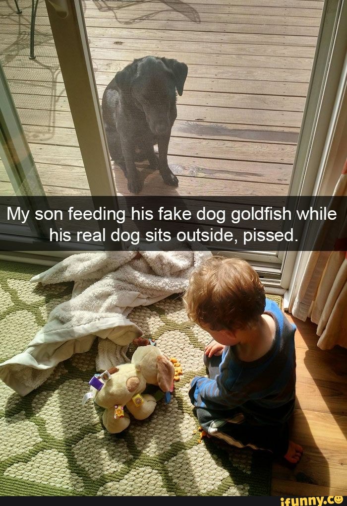 My son feeding his fake dog goldfish while his real dog sits outside, pissed.