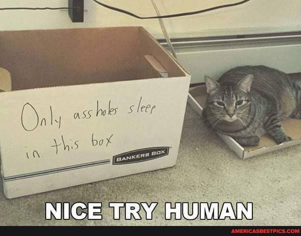 Only ass bos sleep boX