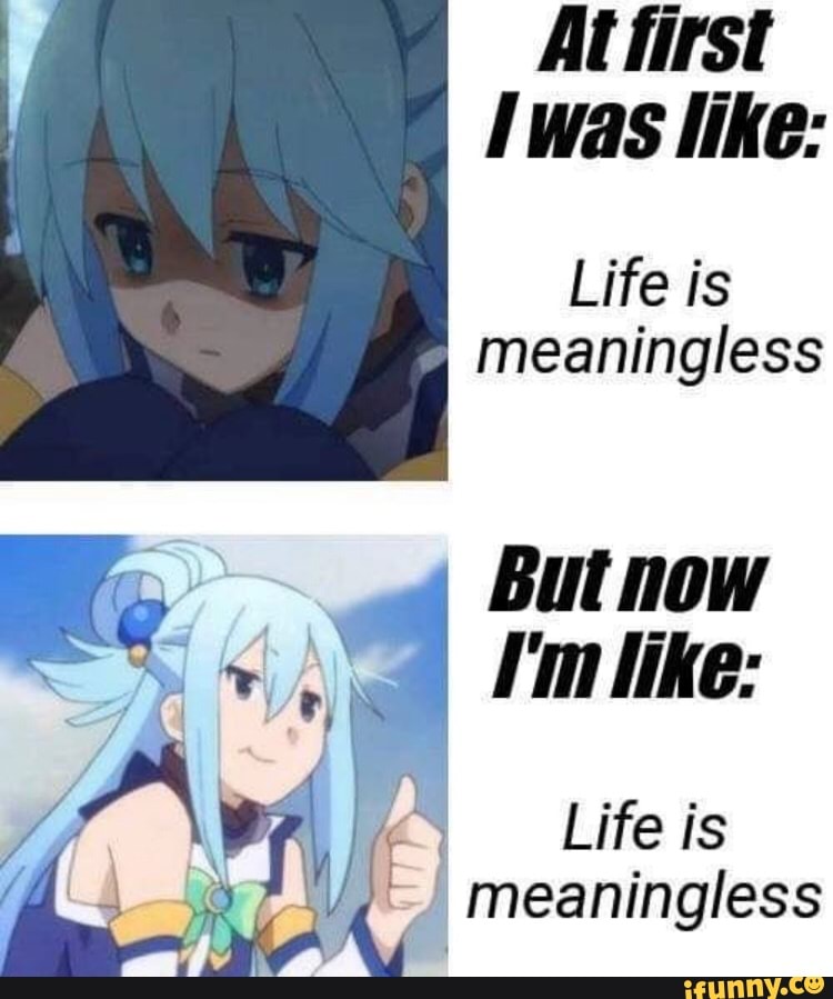 Meaningless Memes To Bring Some Life To Your Monday I vrogue.co