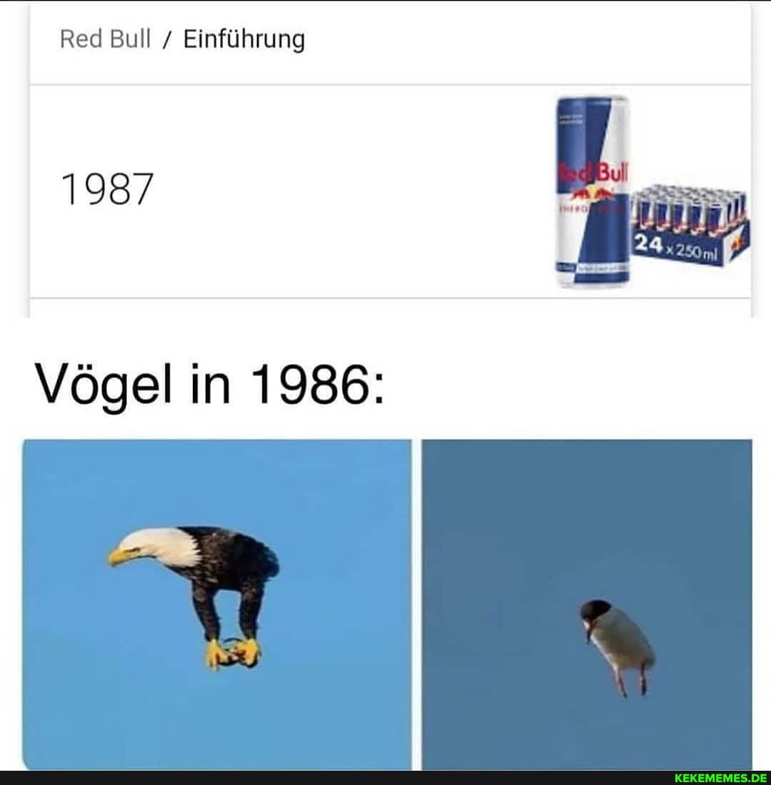 Red Bull Einführung
1987
Vögel in 1986: