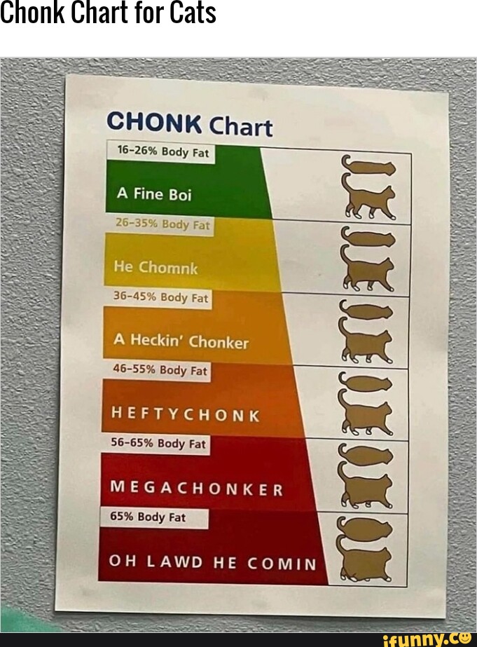 Chonk Chart for Cats CHONK Chart 1626 Body Fat 2635 Body Fat He