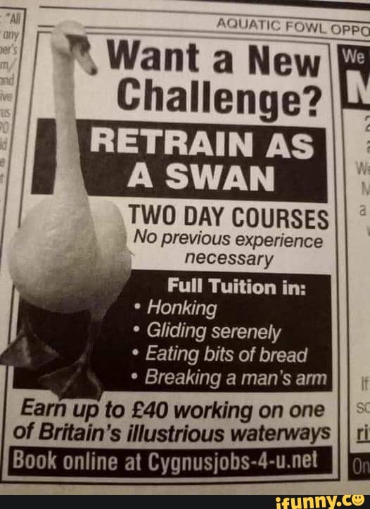 Retrain Memes Best Collection Of Funny Retrain Pictures On IFunny retrain-memes-best-collection-of-funny-retrain-pictures-on-ifunny