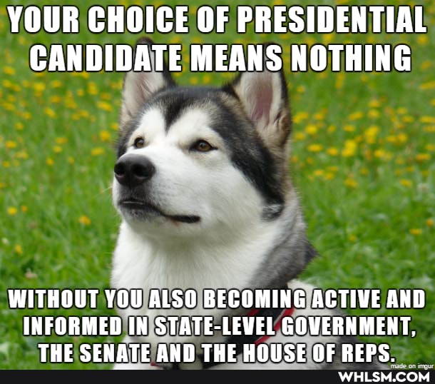 YOUR CHOICE OF PRESIDENTIAL CANDIDATE MEANS NOTHING
WITHOUT YOU ALSO BECOMING ACTIVE AND INFORMED IN STATE-LEVEL GOVERNMENT,
TUE ATE ALN TUE UNICE ne-E pEnc