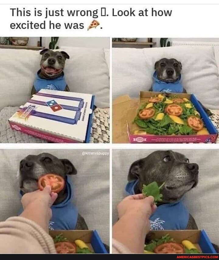 This is just wrong Look at how excited he was