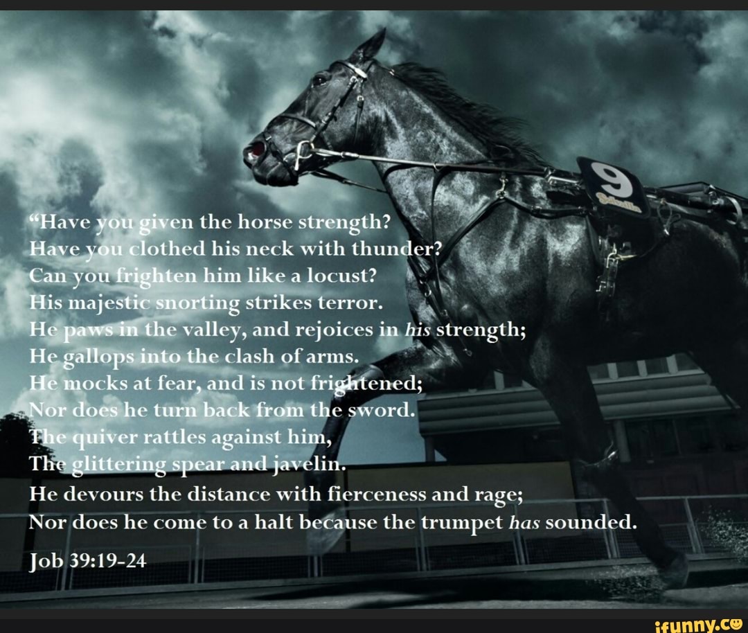 "Have you given the horse strength? Have you clothed bis neck with thun