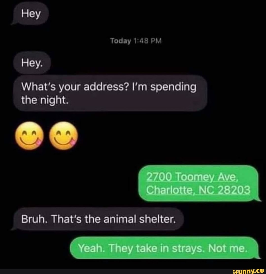 Hey
Today 148 PM Hey.
What's your address? I'm spending the night.
Bruh. That's the animal shelter.