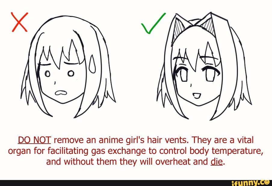 DO NOT remove an anime girl's hair vents. They are a vital organ for facilitating gas exchange
