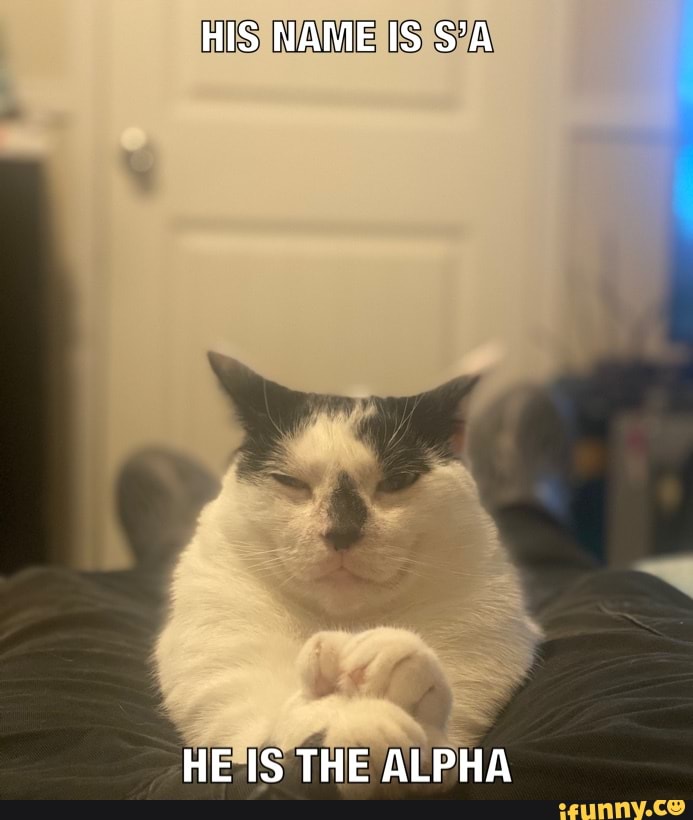 HIS NAME IS S'A
HE IS THE ALPHA