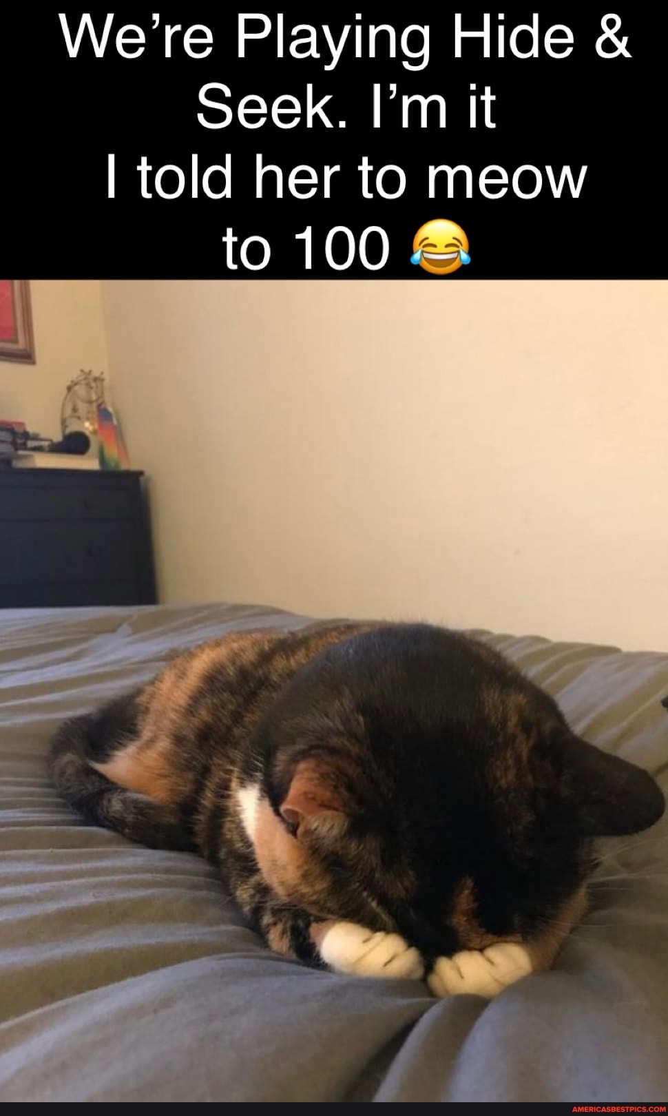 We're Playing Hide €
Seek. Pm it
I told her to meow