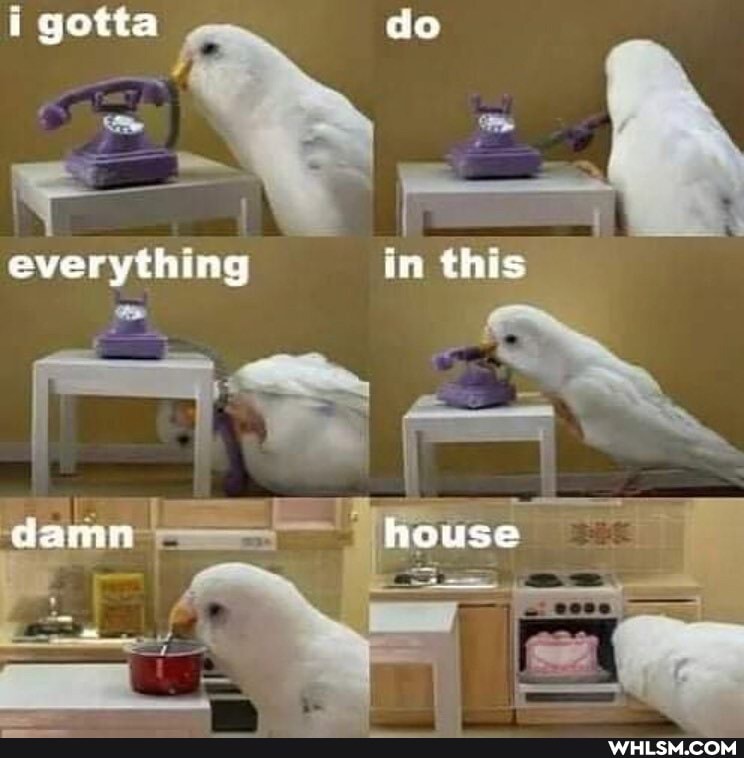 i gotta do
everything in this
damn house