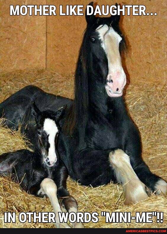MOTHER LIKE DAUGHTER...
IN OTHER WORDS "MINI-ME"!