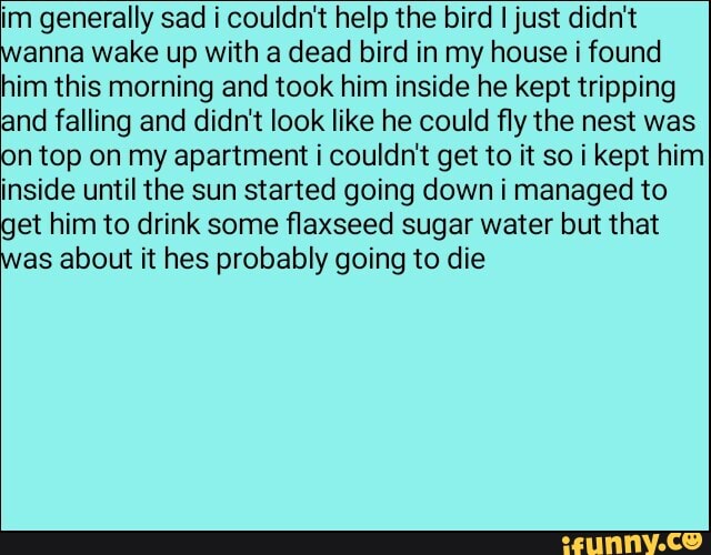 im generally sad i couldn't help the bird I just didn't
anna wake up with a dead bird in my house i found
him this morning and took him inside he kept tripping
and falling and didn't look like he could fly the nest was
on top on my apartment i couldn't get to it so i kept him
inside until the sun started going down i managed to
get him to drink some flaxseed sugar water but that
as about it hes probably going to die