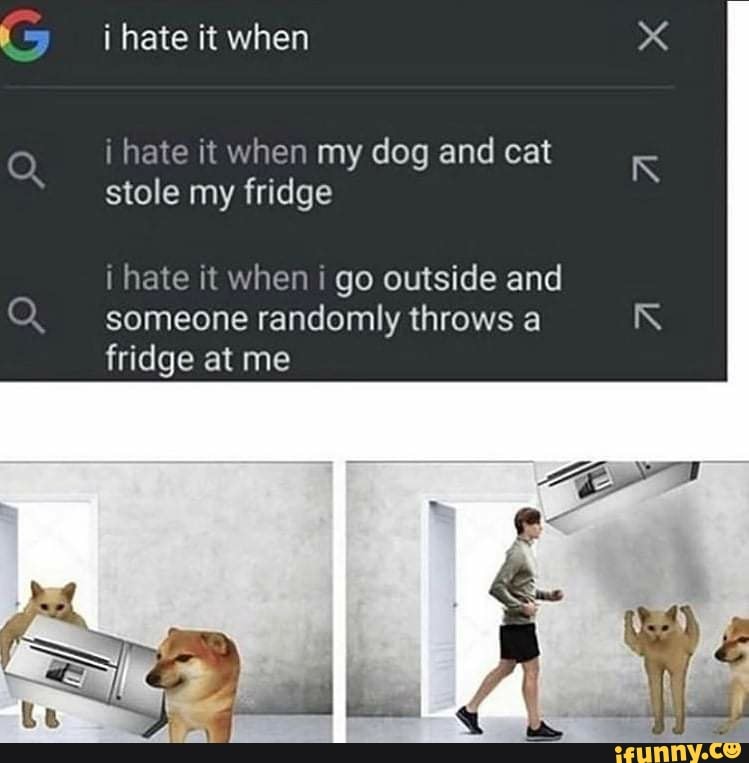 I hate it when i hate it when my dog and cat stole my fridge i hate it when i go outside and