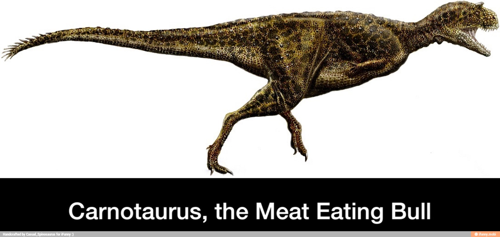 How The Carnotaurus Became Known As The Meat Eating B vrogue.co