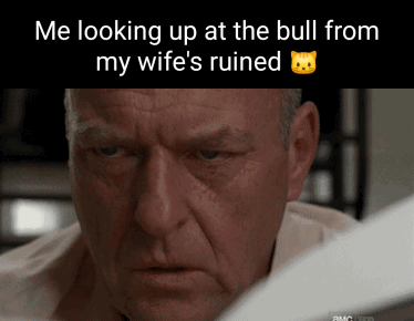 Me looking up at the bull from my wife's ruined Me looking up at the