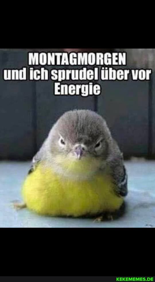 MONTAGMORGEN und ich sprudel über vor
Energie