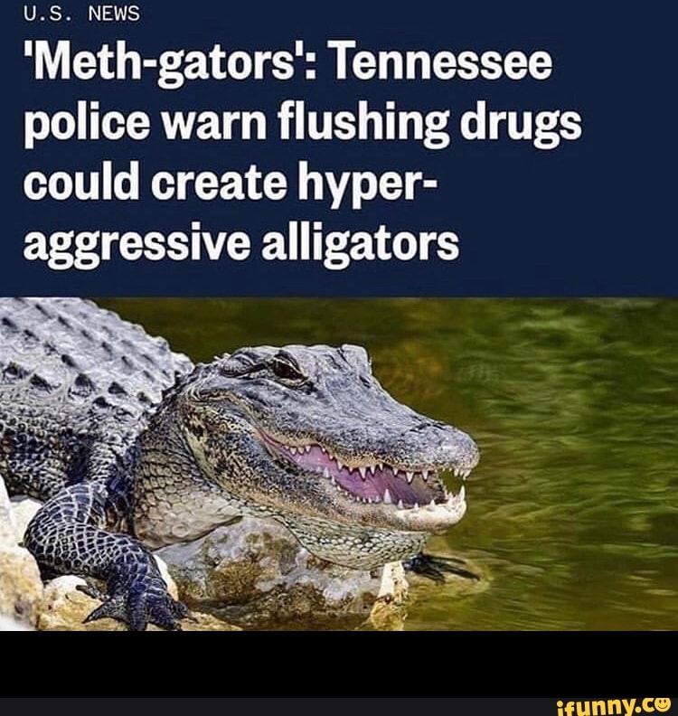 'Meth-gators