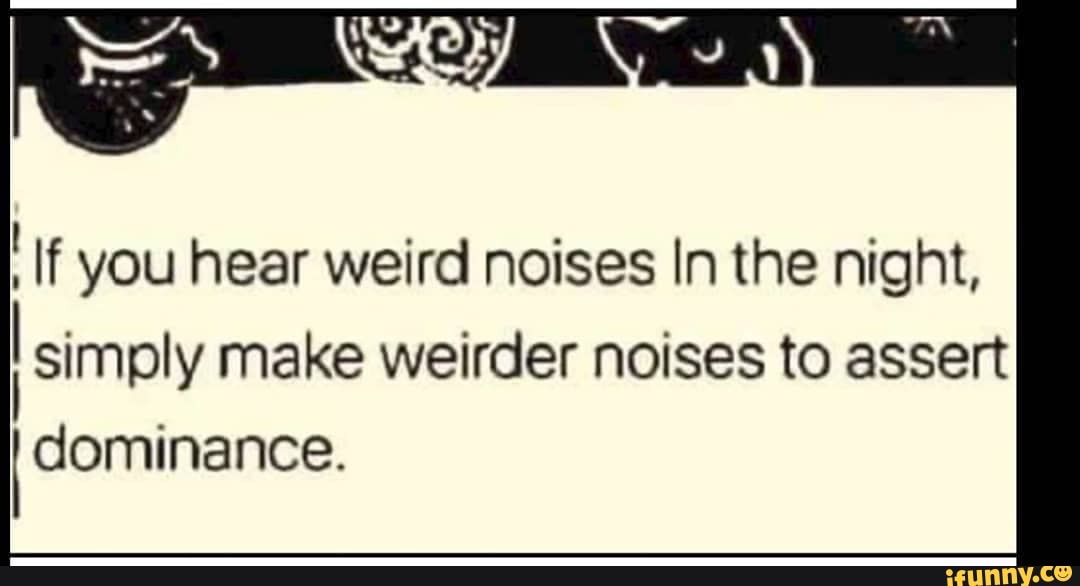 If You Hear Weird Noises In The Night Simply Make Weirder Noises To Assert I Dominance Ifunny