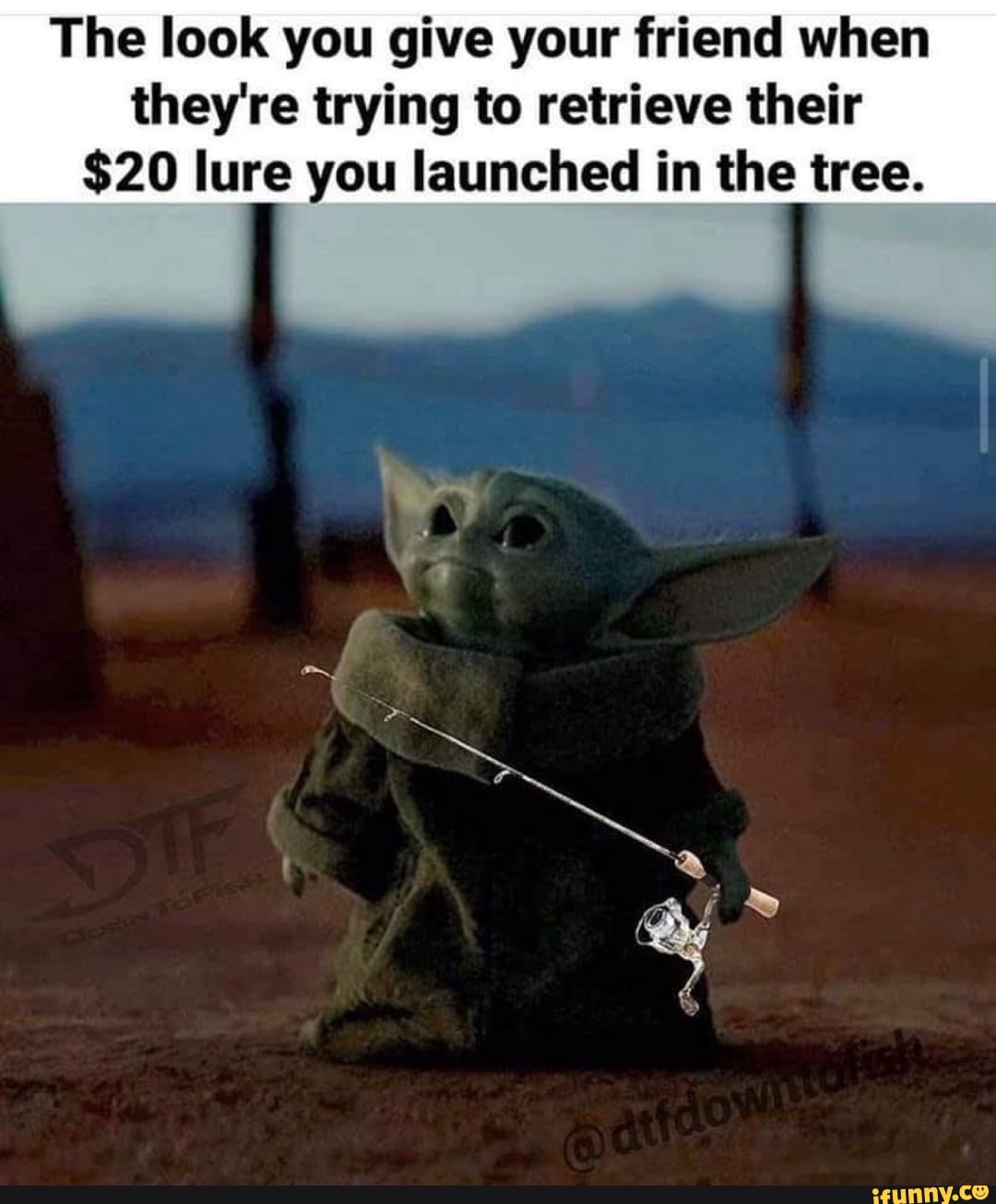 The look you give your friend when
they're trying to retrieve their
$20 lure you launched in the tree.