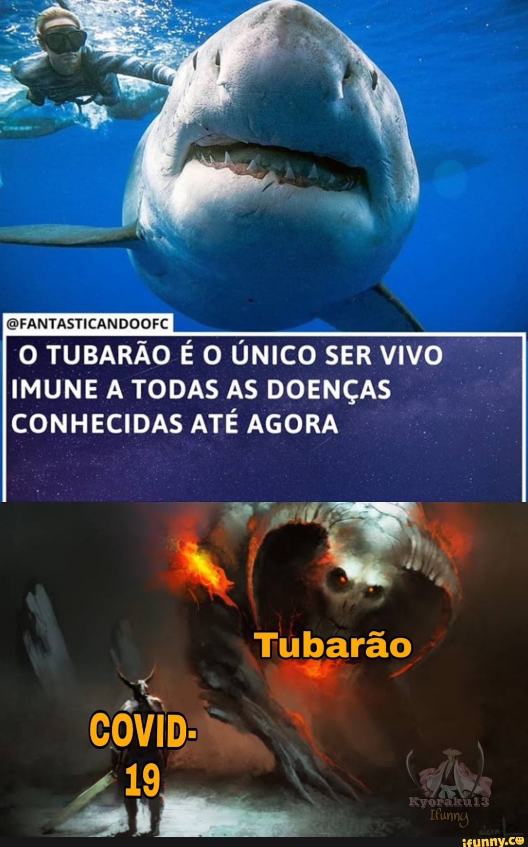 QFANTASTICANDOOFC
O TUBARÃO É O ÚNICO SER VIVO IMUNE A TODAS AS DOENÇAS CONHECIDAS ATÉ AGORA
Tu barão
COVID:
PAR)