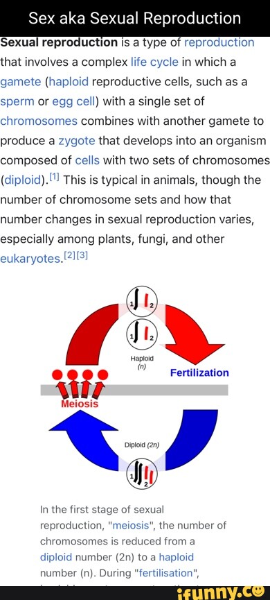 Sex Aka Sexual Reproduction Sexual Reproduction Is A Type Of Reproduction That Involves A 8100