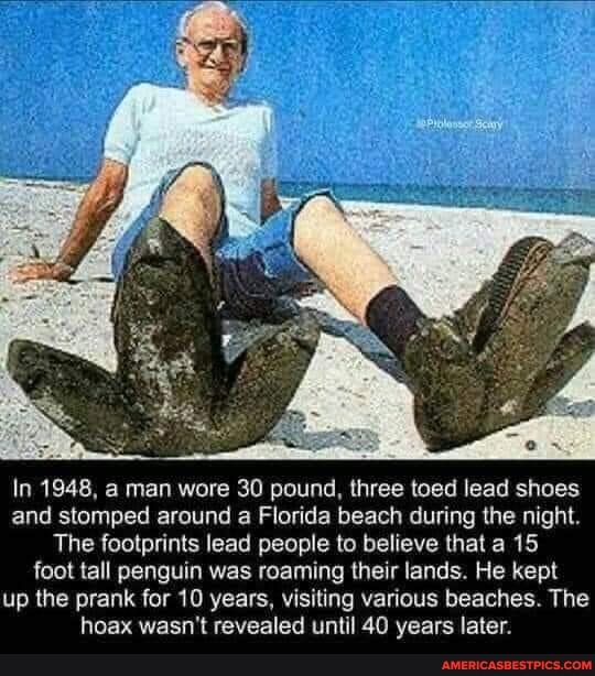 In 1948, a man wore 30 pound, three toed lead shoes and stomped around a Florida beach during the night.
The footprints lead people to believe that a 15 foot tall penguin was roaming their lands. He kept up the prank for 10 years, visiting various beaches. The hoax wasn't revealed until 40 years later.