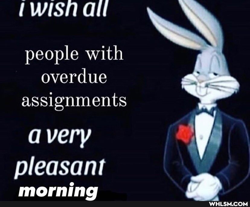 fwisn ai
SA
people with overdue assignments
avery
pleasant
morning