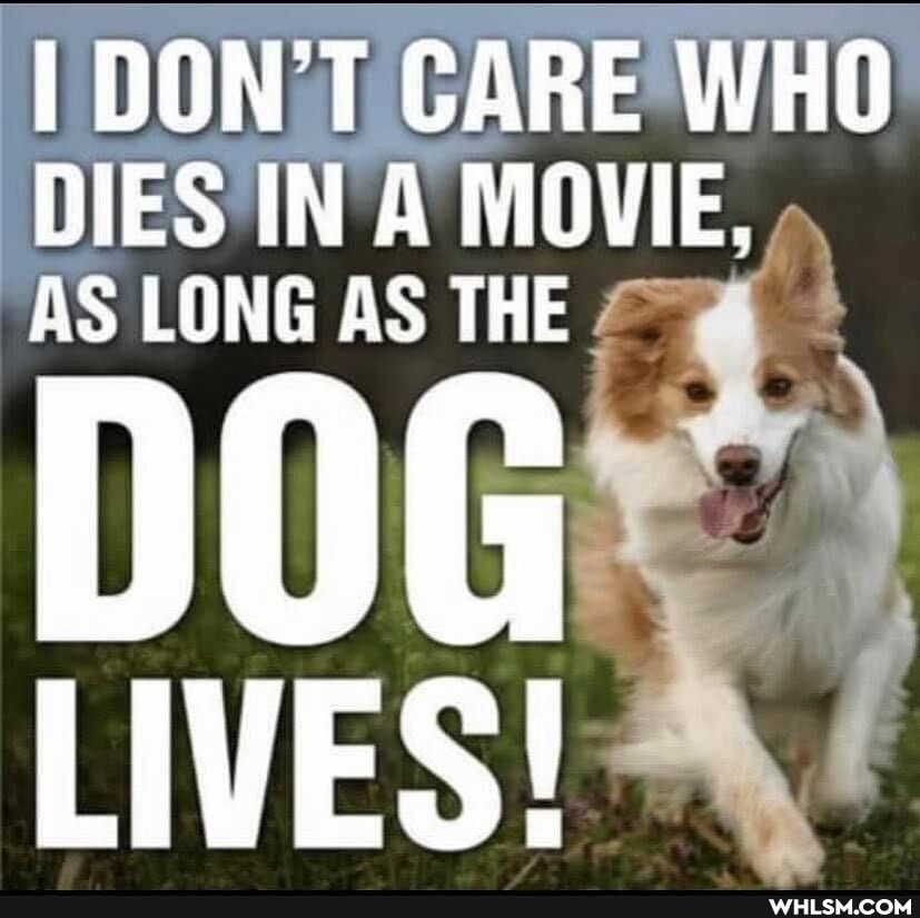 I DON'T CARE WHO DIES IN A MOVIE,
AS LONG AS THE
LIVES!