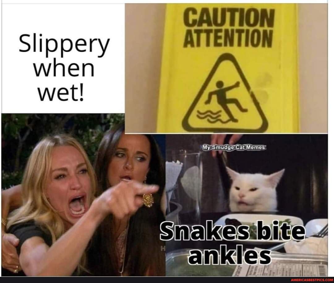 Caution Slippery Attention When Wet Memes Americas Best Pics And