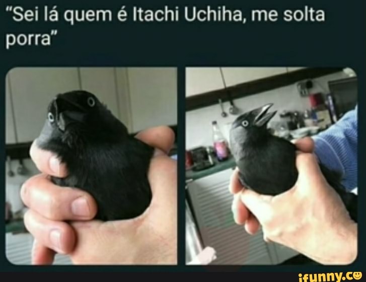 "Sei la quem é Itachi Uchiha, me solta
porra"